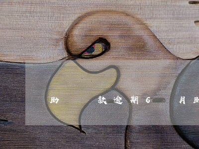 助學貸款逾期6個月(助學貸款逾期兩個月)