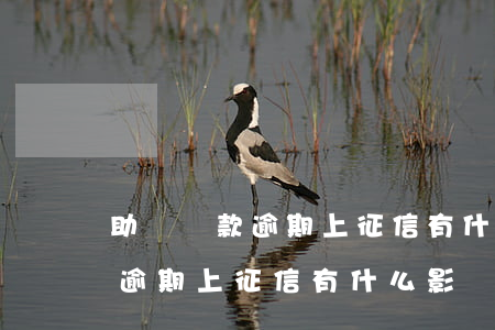 助學貸款逾期上征信有什么影響-助學貸款逾期上征信有什么影響嗎