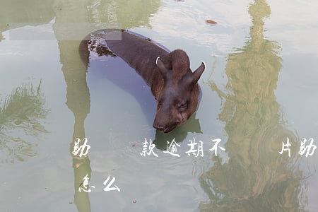 助學貸款逾期不還圖片(助學貸款還款逾期了怎么辦)