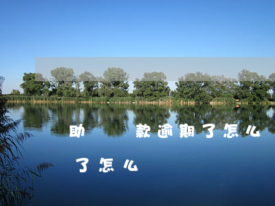 助學貸款逾期了怎么補救(助學貸款還款逾期了怎么辦)
