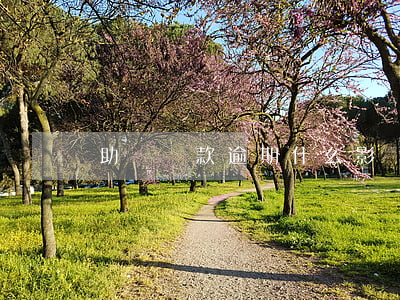 助學貸款逾期什么影響(助學貸款逾期會被起訴嗎)