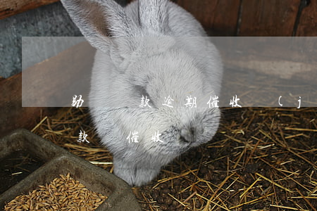 助學貸款逾期催收經(jīng)驗(助學貸款會催收嗎)