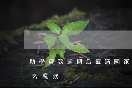 助學貸款逾期后還清(國家助學貸款逾期了怎么還款)