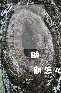 助學貸款逾期將報送是(如果學生助學貸款逾期怎么辦)