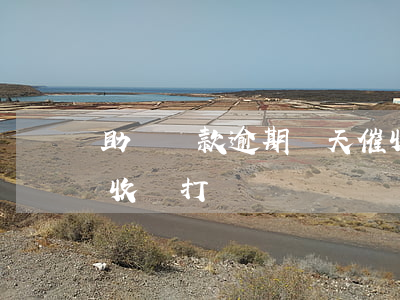 助學貸款逾期幾天催收(助學貸款逾期幾天催收會打電話)