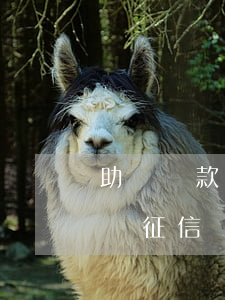 助學貸款逾期影響房貸嗎(助學貸款逾期會影響征信嗎)