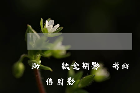 助學貸款逾期影響考公(國家助學貸款逾期了對信用影響)