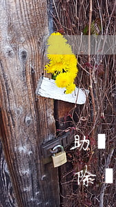 助學貸款逾期怎么付清(助學貸款逾期可以消除嗎)