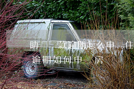 助學貸款逾期怎么申請住房公積金（助學貸款逾期如何申請房貸）