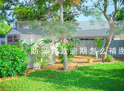 助學貸款逾期怎么補繳(助學貸款逾期怎么補繳)