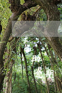 助學貸款逾期換完后未上黑名單-助學貸款逾期換完后未上黑名單會怎么樣
