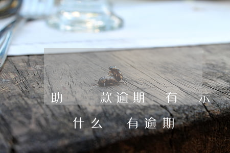 助學貸款逾期會有顯示嗎(助學貸款沒有逾期為什么還有逾期記錄)