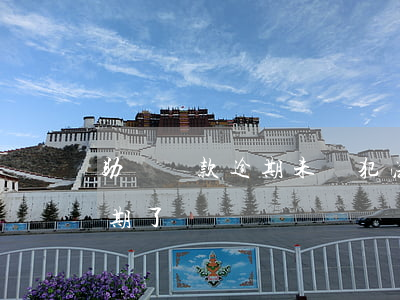 助學貸款逾期未還犯法嗎(助學貸款不小心逾期了)