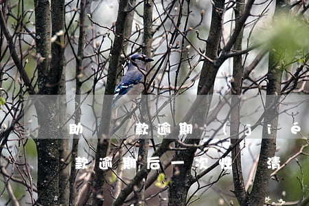 助學貸款逾期結(jié)清滿3年(助學貸款逾期后一次性還清)