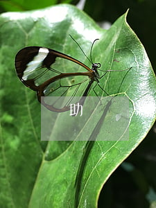助學貸款逾期貸款(助學貸款不小心逾期)