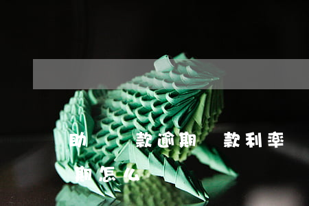 助學貸款逾期還款利率(國家助學貸款利息逾期怎么辦)
