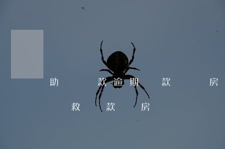 助學貸款逾期還款對購房(助學貸款逾期怎么補救貸款買房)