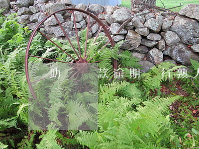 助學貸款逾期銀行熟人(助學貸款利息逾期)