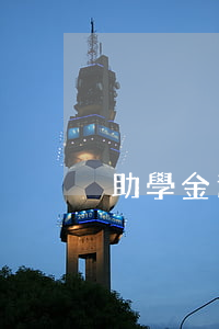 助學金逾期能不能貸款(助學貸款逾期怎么辦)