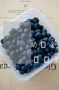 助學金還貸逾期影響公積金貸款嗎-助學金還貸逾期影響公積金貸款嗎