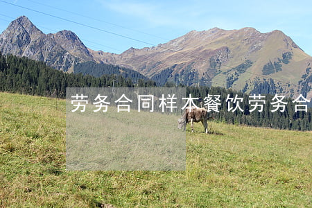 劳务合同样本(餐饮劳务合同范本免费样本)