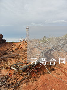 劳务合同模板 劳务合同模板