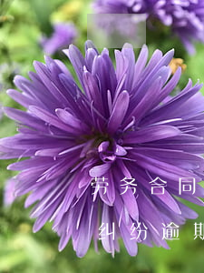 劳务合同纠纷逾期利息法律规定-劳务合同纠纷逾期利息法律规定多少