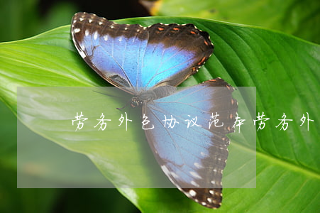 劳务外包协议范本(劳务外包服务合同模板)