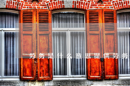 劳务是什么意思(提供劳务是什么意思)