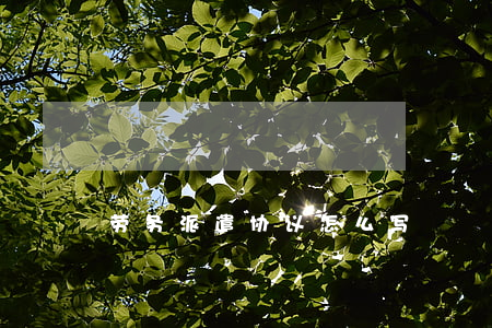劳务派遣协议怎么写