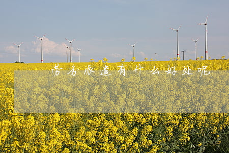 劳务派遣有什么好处呢