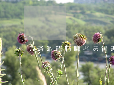 劳务派遣有哪些法律规定