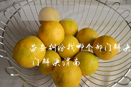 劳务纠纷找哪个部门解决(劳务纠纷找哪个部门解决渭南)