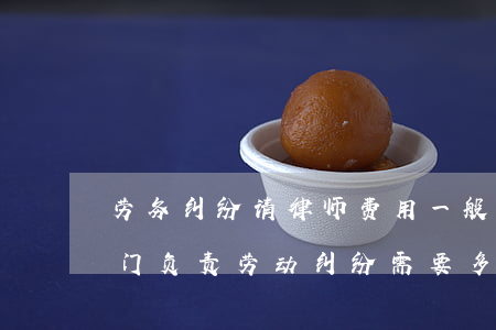 劳务纠纷请律师费用一般是多少钱(请律师专门负责劳动纠纷需要多少钱)