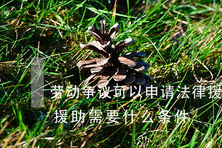 劳动争议可以申请法律援助吗(申请劳动法律援助需要什么条件)