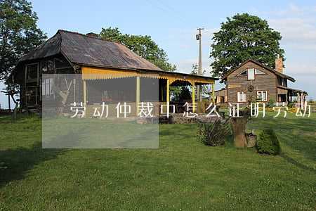 劳动仲裁中怎么证明劳动关系