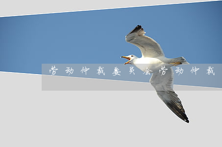劳动仲裁委员会(劳动仲裁委员会是干什么的)