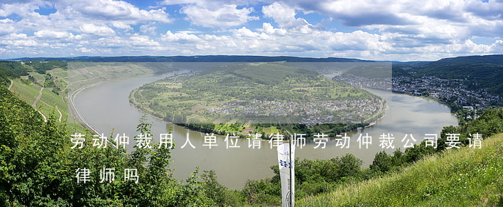 劳动仲裁用人单位请律师(劳动仲裁公司要请律师吗)