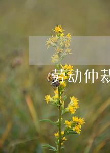 劳动仲裁要穿律师袍吗(律师穿什么衣服)
