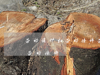 劳动保护和劳动条件(劳动合同法劳动保护和劳动条件)