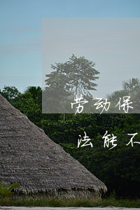 劳动保障法能不能聘用逾期人员-劳动保障法能不能聘用逾期人员呢