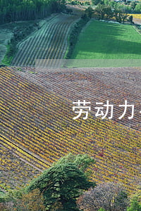 劳动力有大病小孩小能离婚吗