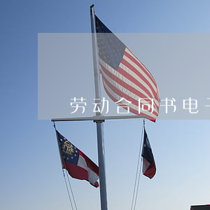 劳动合同书电子版(天津劳动合同书电子版)