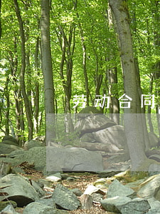 劳动合同变更期限是不是可以续签