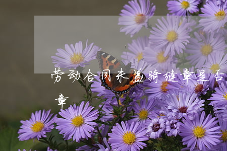 劳动合同未盖骑缝章是否具备法律效力（骑缝章）