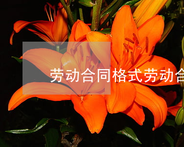 劳动合同格式(劳动合同格式)