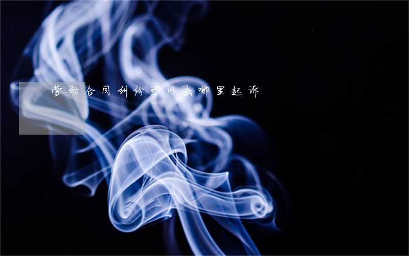 劳动合同纠纷可以去哪里起诉