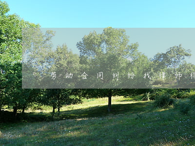 劳动合同纠纷找律师得多少钱