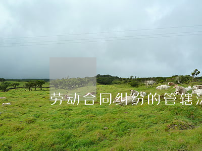 劳动合同纠纷的管辖法院如何确定