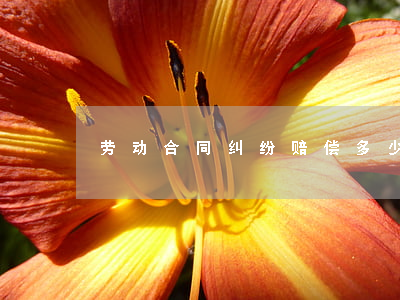 劳动合同纠纷赔偿多少